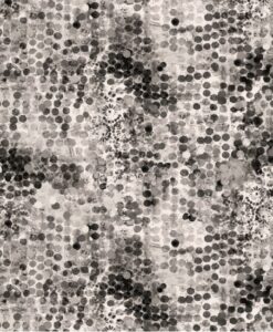 Shine On - Black and White