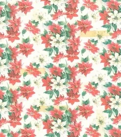 Poinsettia Print - Tim Holtz