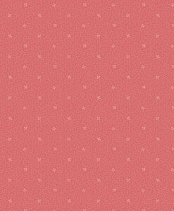 Tradewinds - Coral Tidepool