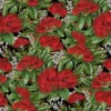 Native Charm - Pohutukawa